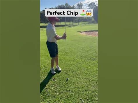 10 10 Perfect Chip Shot In Golf Golf Memes Holeinone Sport