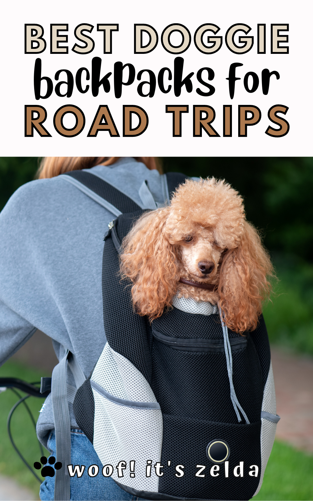 10 Best Dog Carrier Backpacks For Hiking 2021 Guide Woof It S Zelda