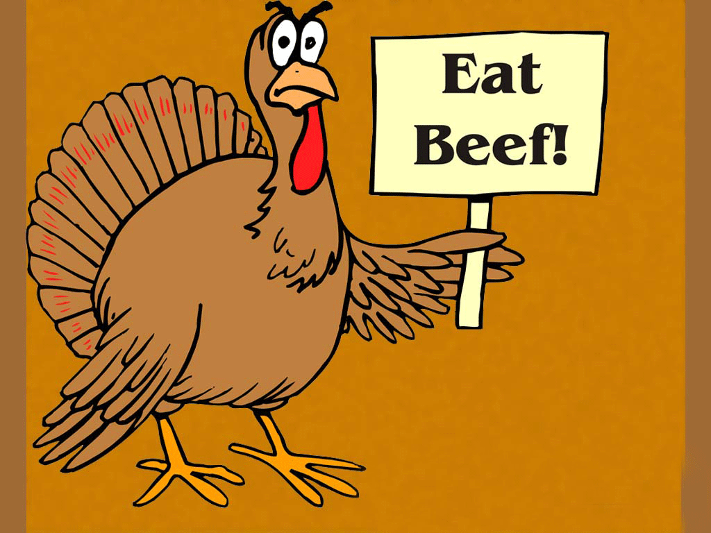 10 Funny Thanksgiving Pictures Free The Graphics Fairy