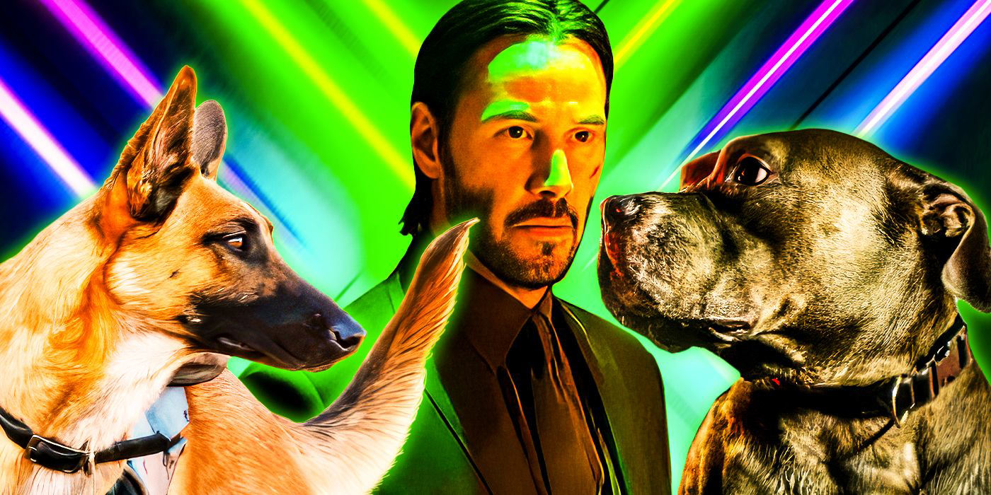 12 Things You Didn T Know About John Wick S Dogs