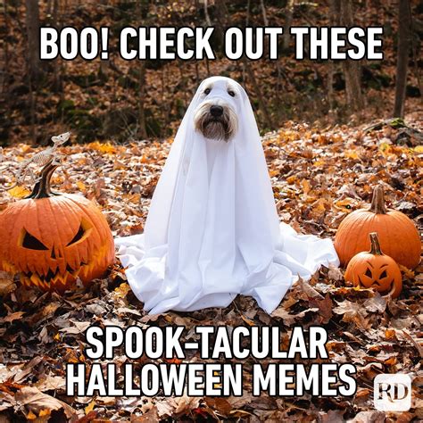 17 Halloween Memes: The Ultimate Collection To Slay Your Friends