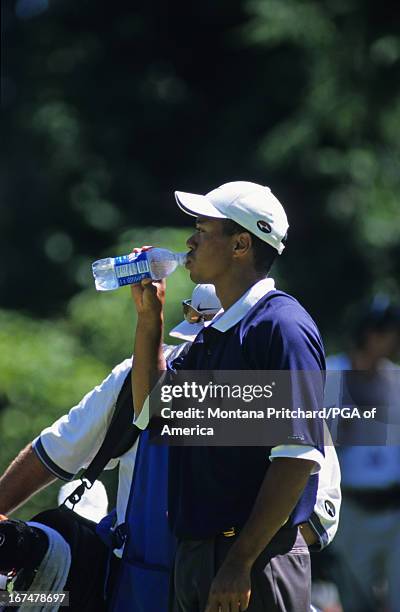 198 1998 Pga Championship Tiger Woods Photos High Res Pictures