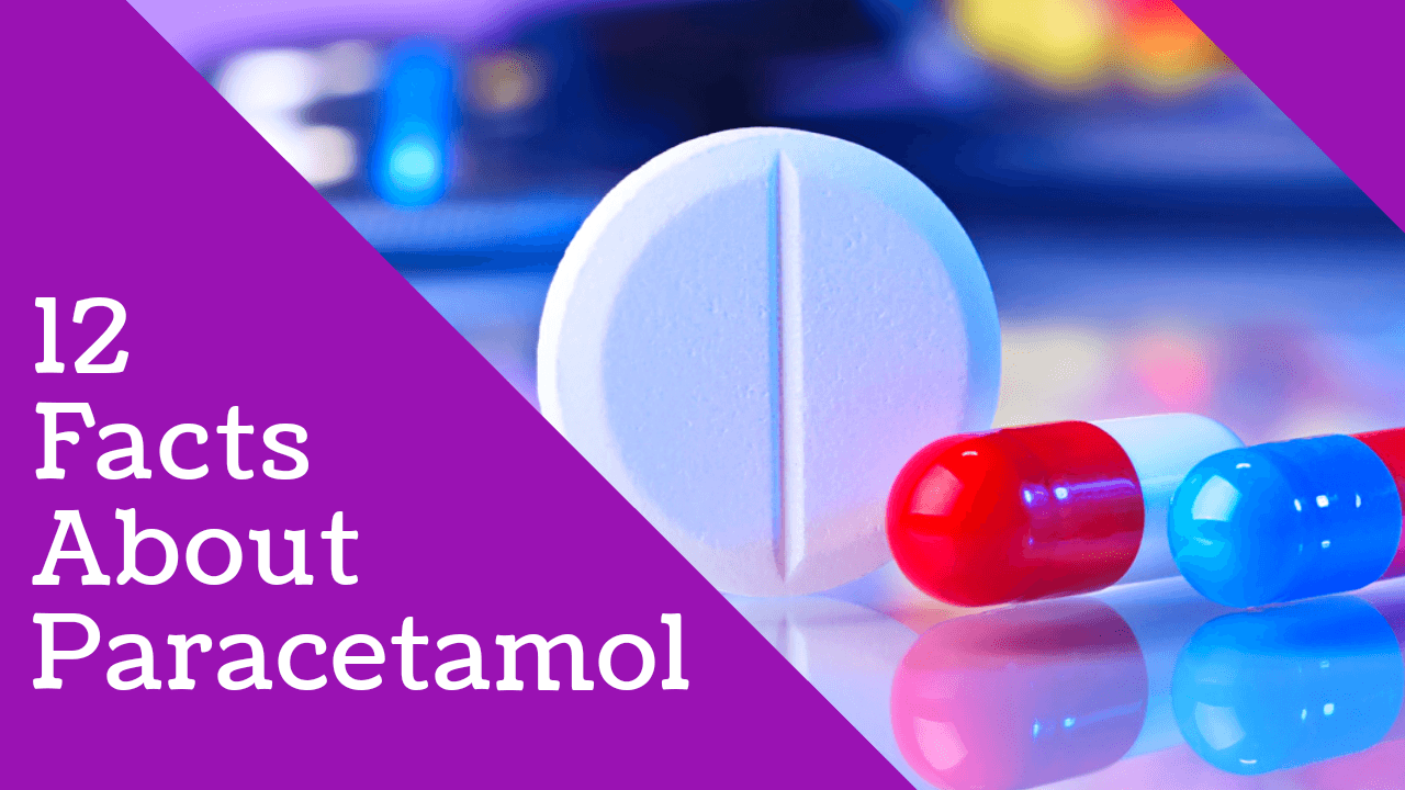 20+ Paracetamol Facts For Dogs: The Essential Guide