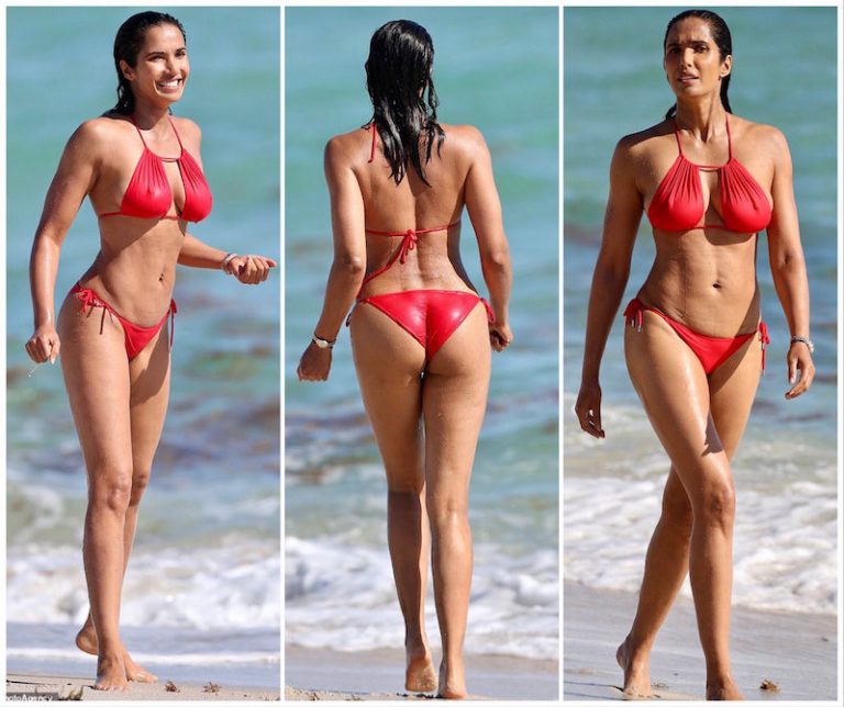 20 Tulsi Gabbard Hot Bikini Photos N4gm