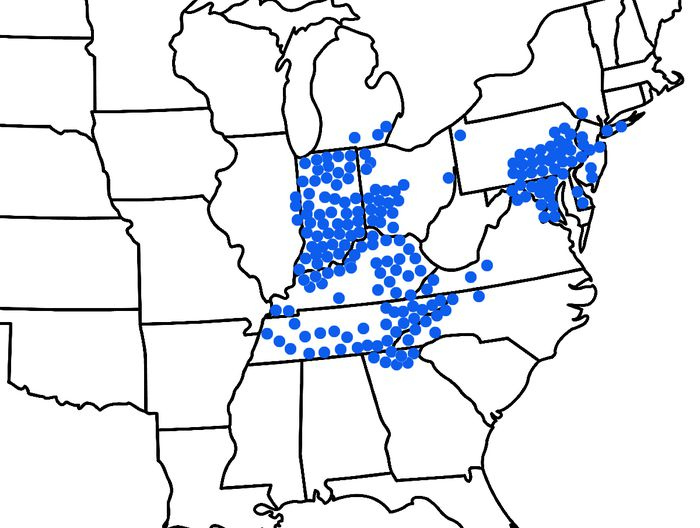 2021 Cicadas 13 Facts About The Brood X Cicada Invasion Maps When