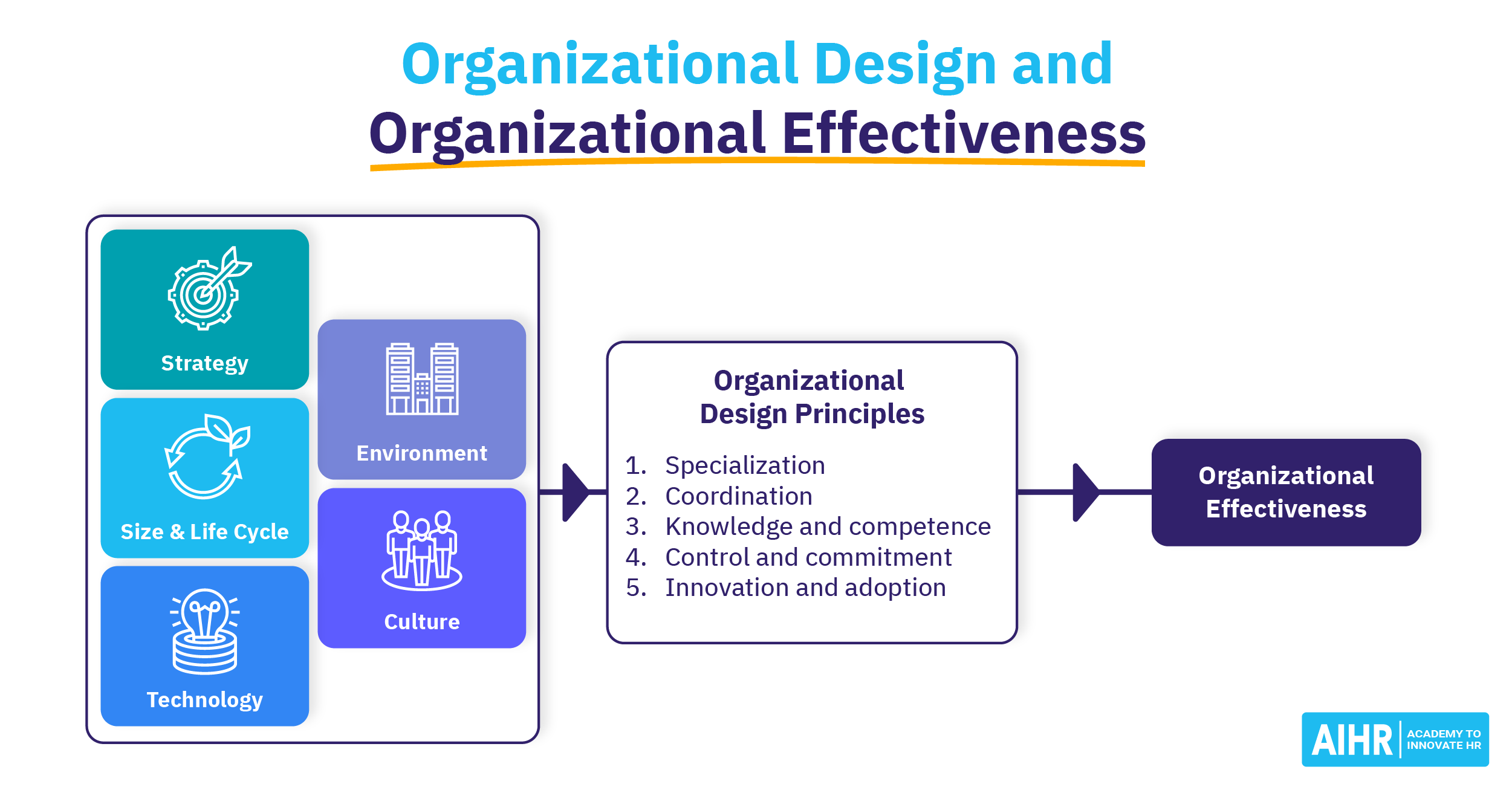 21 Hr Roles In An Organization A 2024 Overview Aihr