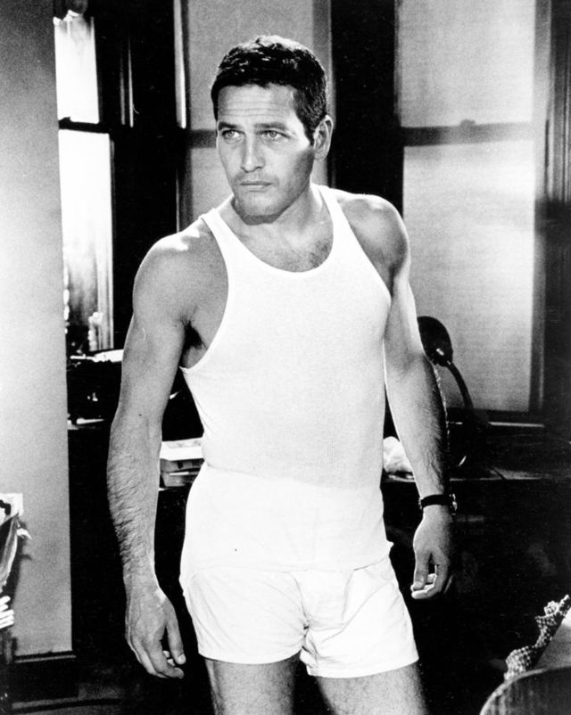 30 Vintage Photos Of A Young And Good Looking Paul Newman In The 1950S