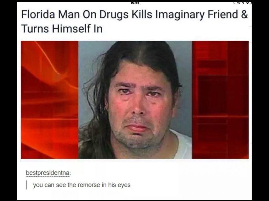 33 Funny Florida Man Memes And Florida Woman Memes Artofit