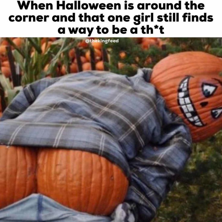 35 Funny Halloween Memes Best Halloween Joke Images