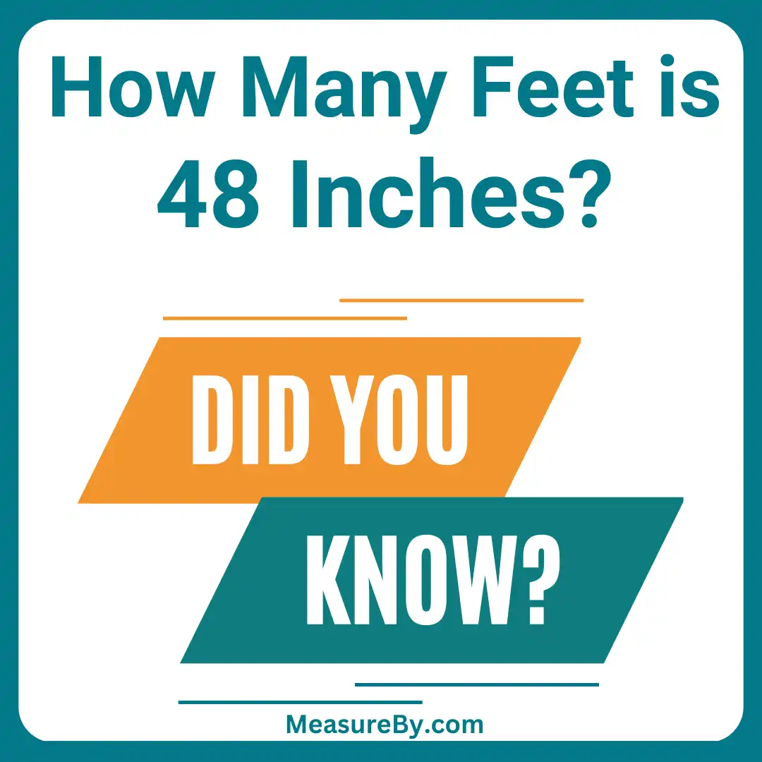 48Inches To Feet