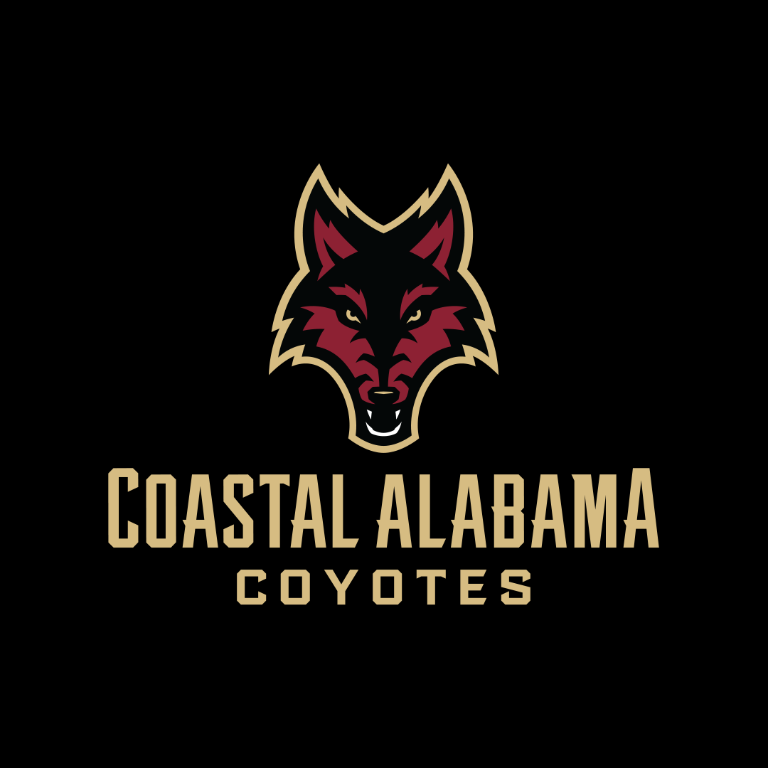 5 High School Football Games To Watch In Coastal Alabama In Week 4 Al Com