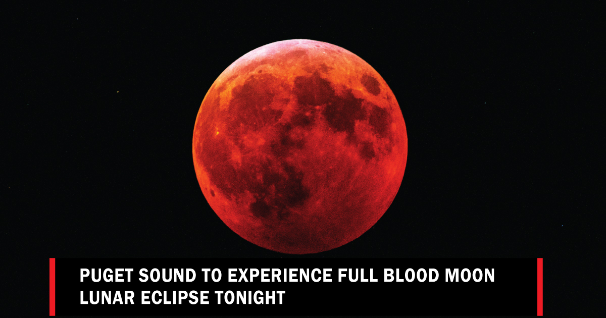 5 Pro Tips For The Ultimate Moon Eclipse Experience Tonight