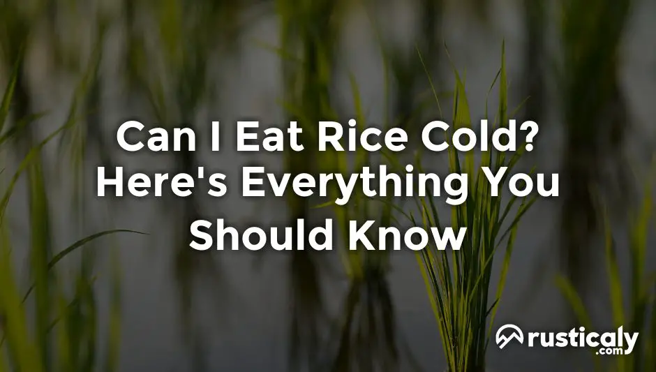 5 Ultimate Tips To Eat Rice Cold Now