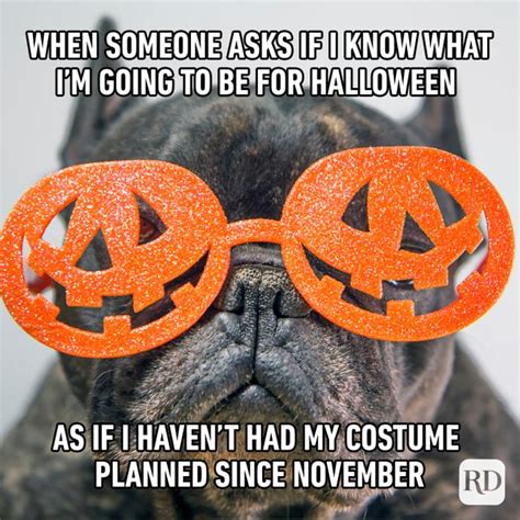 50 Halloween Memes That Will Have You Howling With Laughter Artofit