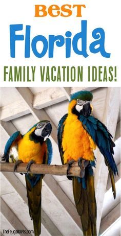 7 Best Florida Family Vacation Ideas The Frugal Girls