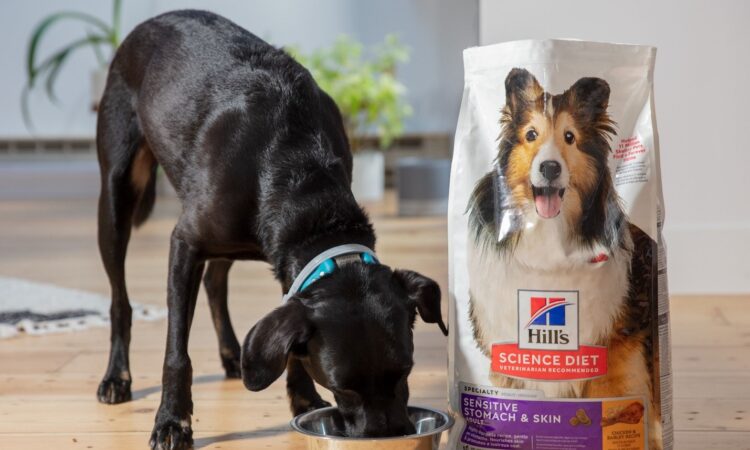 7 Best Puppy Dog Food For Sensitive Stomachs Uk Petstock