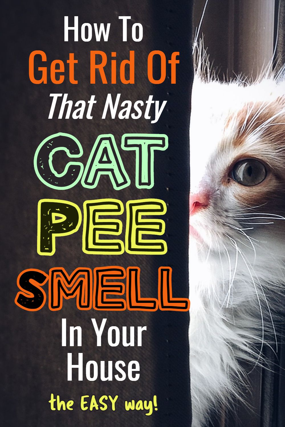 7 Ultimate Tips To Make Cat Pee Smell Disappear Now