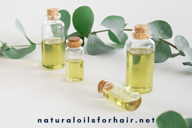 A Guide To Oil Cleansing Natural Oils For Hair Beauty