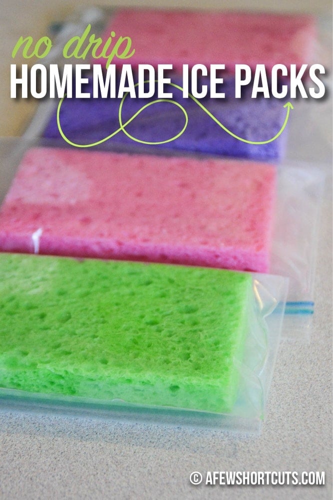 A Simple Solution To Cool Those Lunch Boxes No Drip Homemade Ice Packs