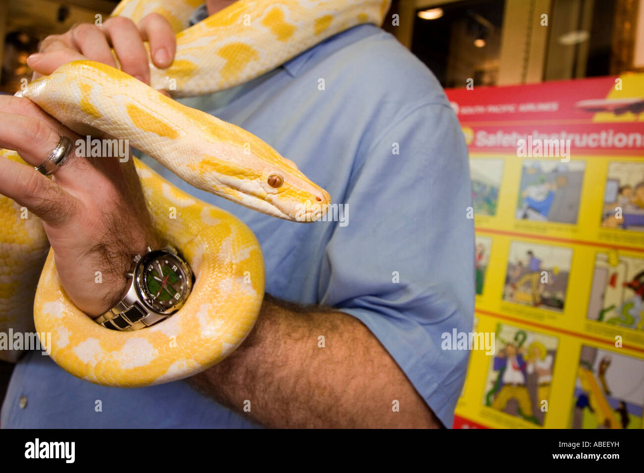 A Yellow Snake On Display As Advertising For Snakes On A Plane In