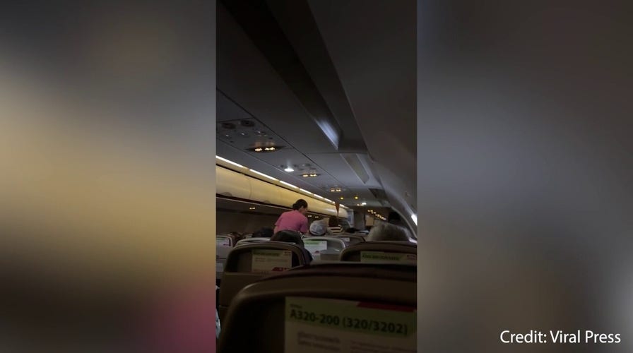 Actual Snake On A Plane Scares Flight Into Emergency Landing Youtube