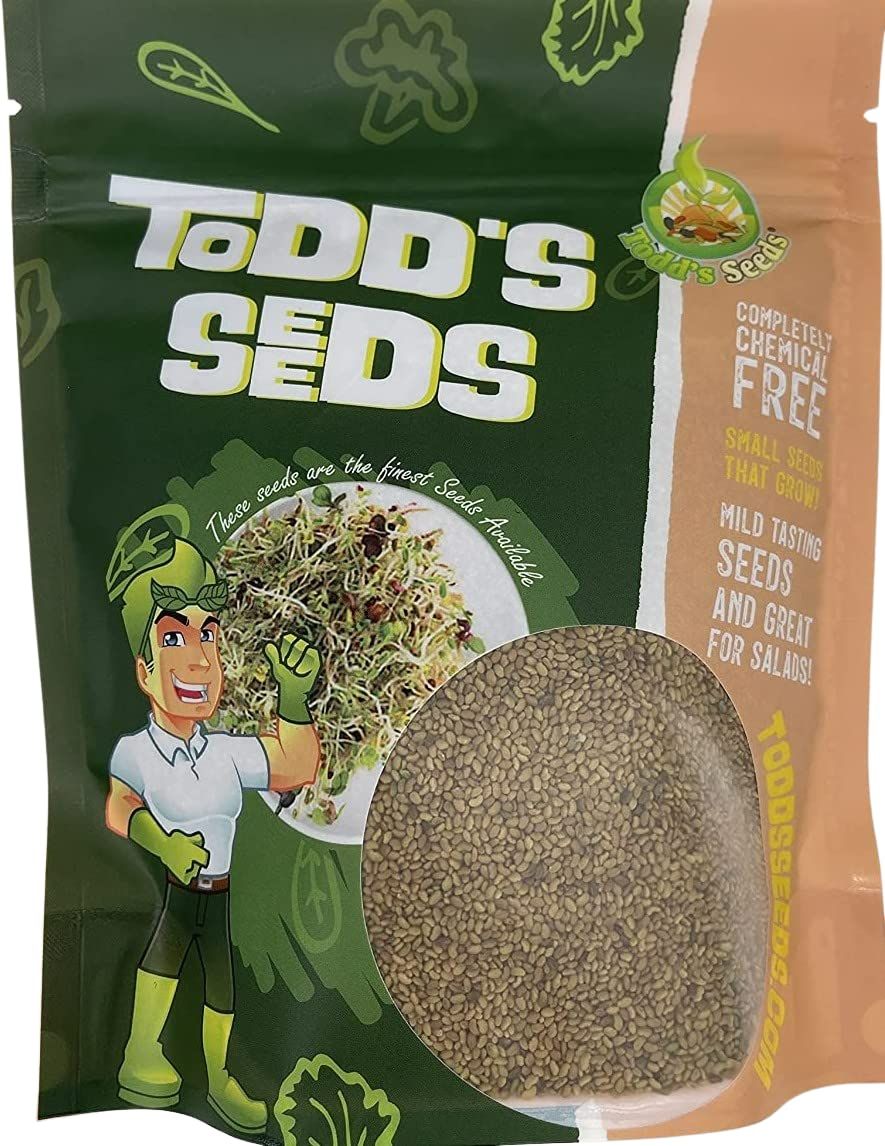 Alfalfa Sprouting Seeds Nutritious Delicious Grow Your Own Free