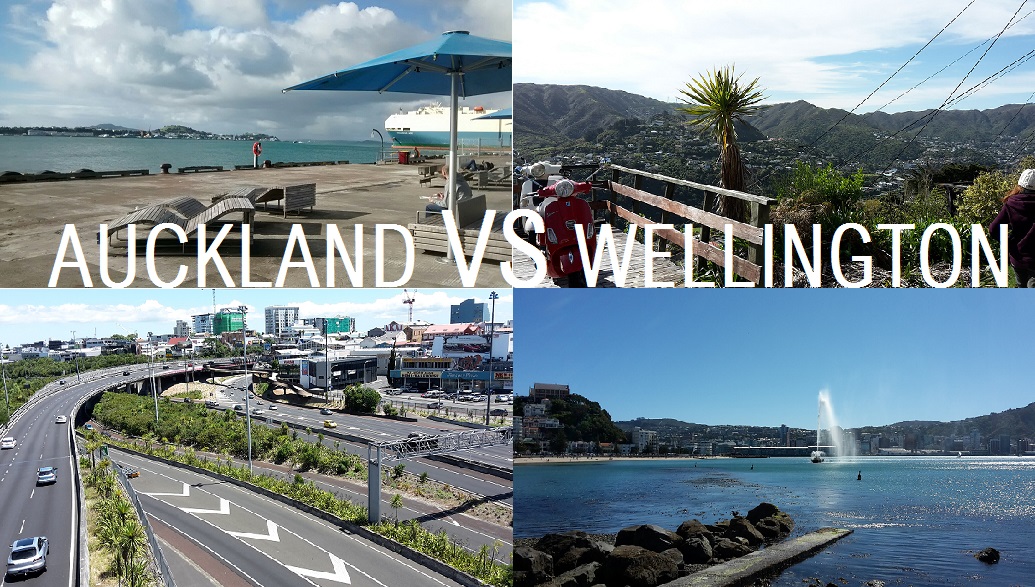 Auckland Vs Wellington Why We Chose To Live In Nz S Capital