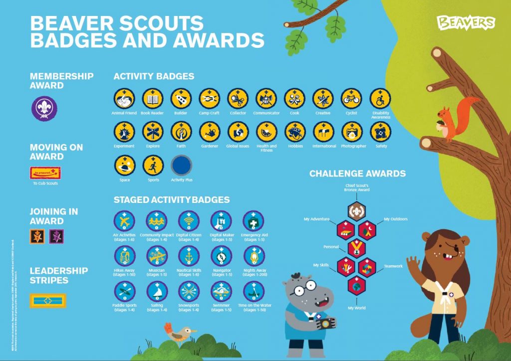 Beavers Badges 7Th Larne Scouts