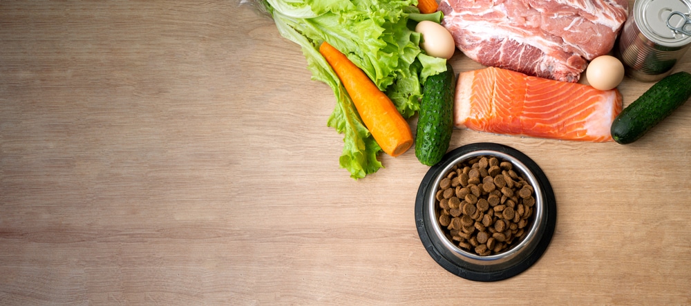 Best Dog Food Ingredients What To Look For When Buying Food For Your Dog