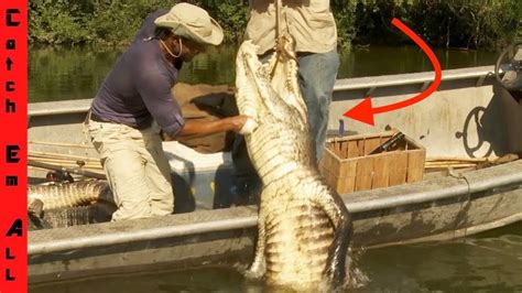 Biggest Alligator Caught On Fishing Pole By Zak Catchem On Swamp People