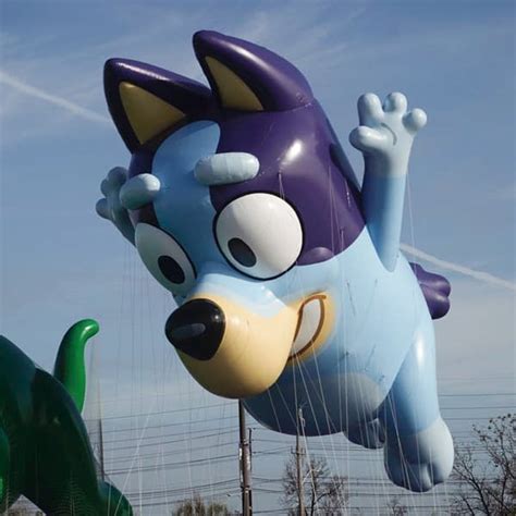 Bluey Balloon Popped