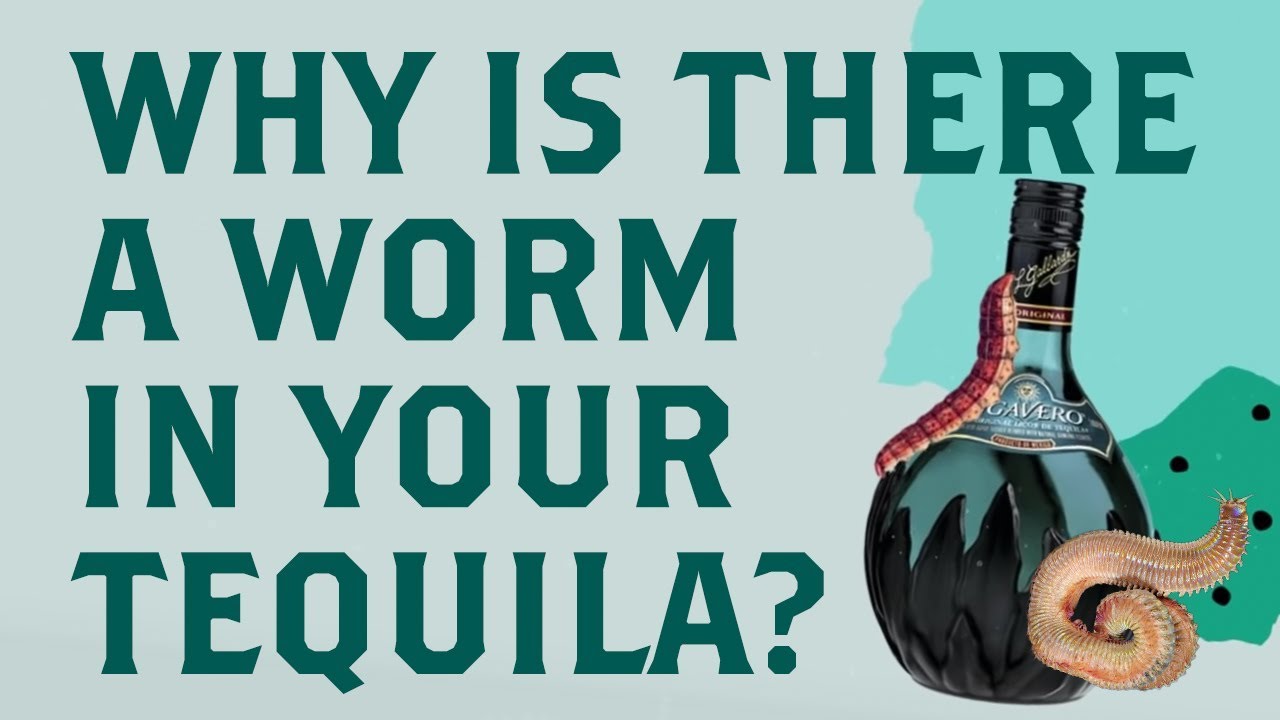 Brands Of Tequila With Worm Bruin Blog