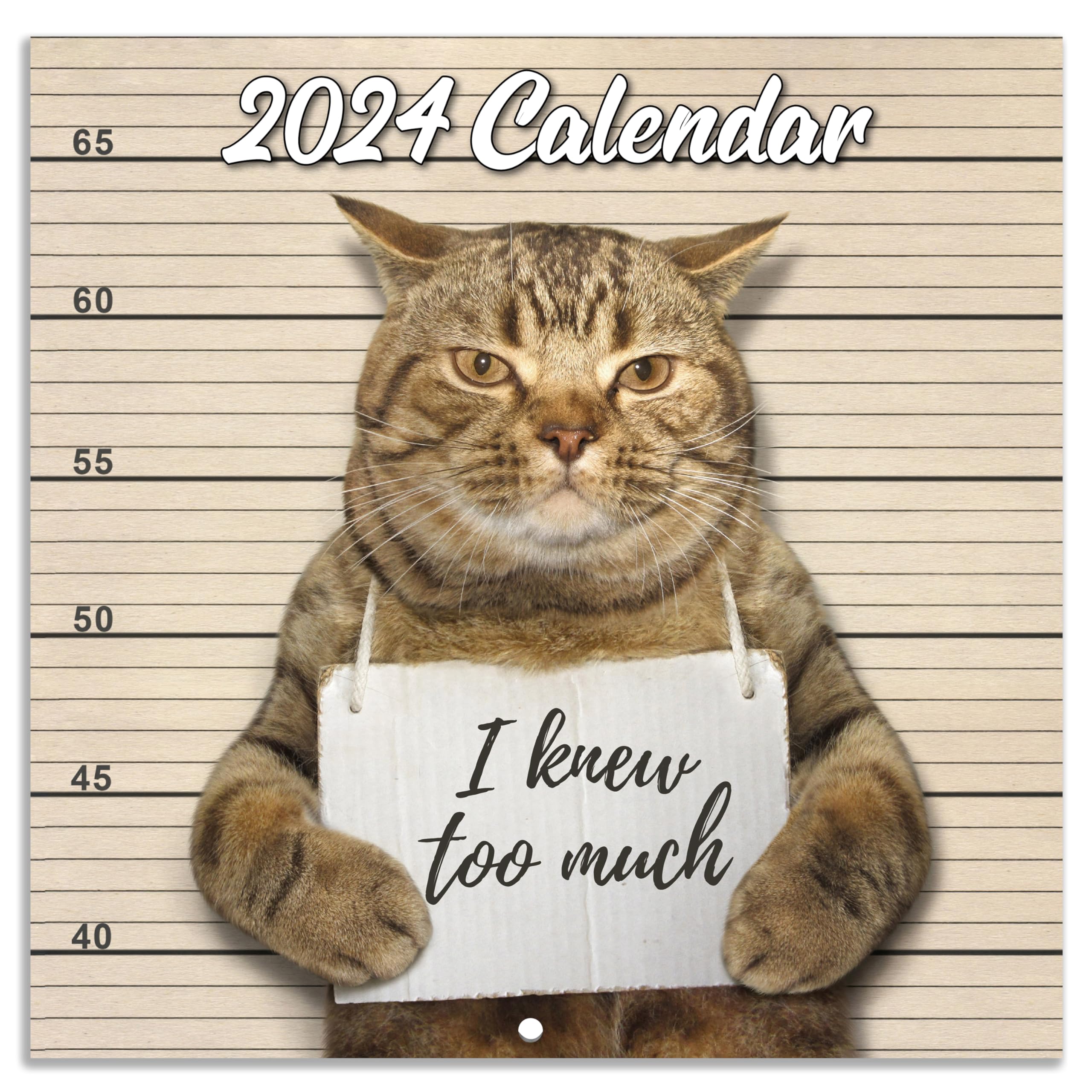 Buy 2024 Wall Funny Cat 2024 January 2024 December 2024 Wall Gag