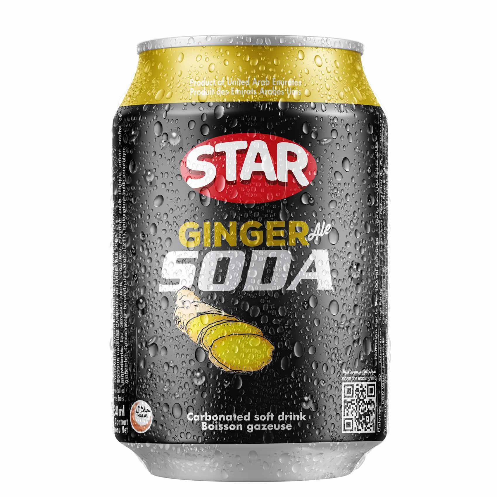 Buy Star Ginger Ale Carbonated Soda 300 Ml Online In Uae Talabat Uae