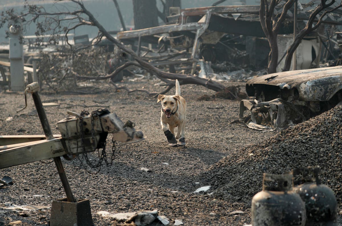 Camp Fire Death Toll Grows To 56 As Photos Show Paradise California In