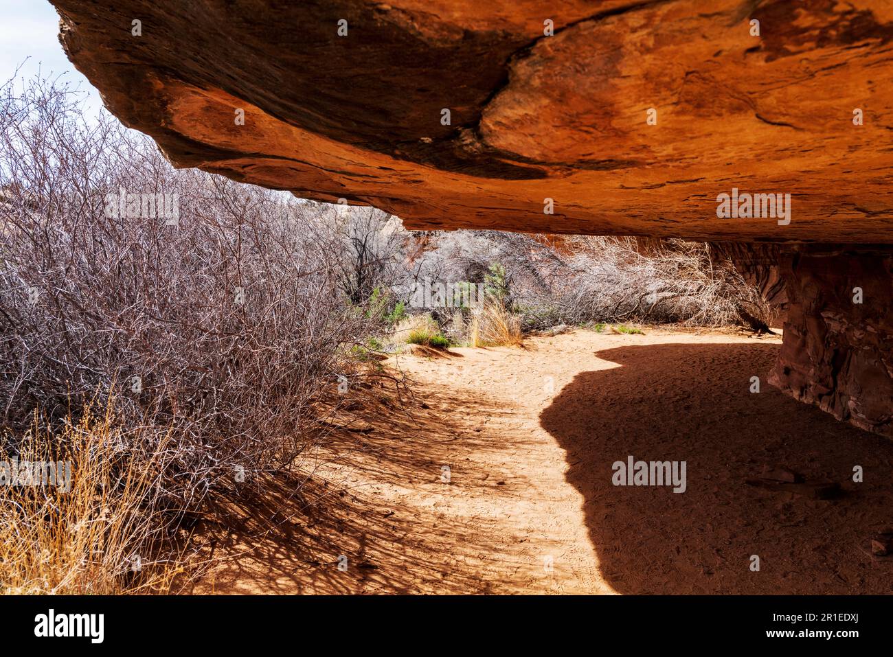 Canyonlands Cave Spring Trail U S National Park Service