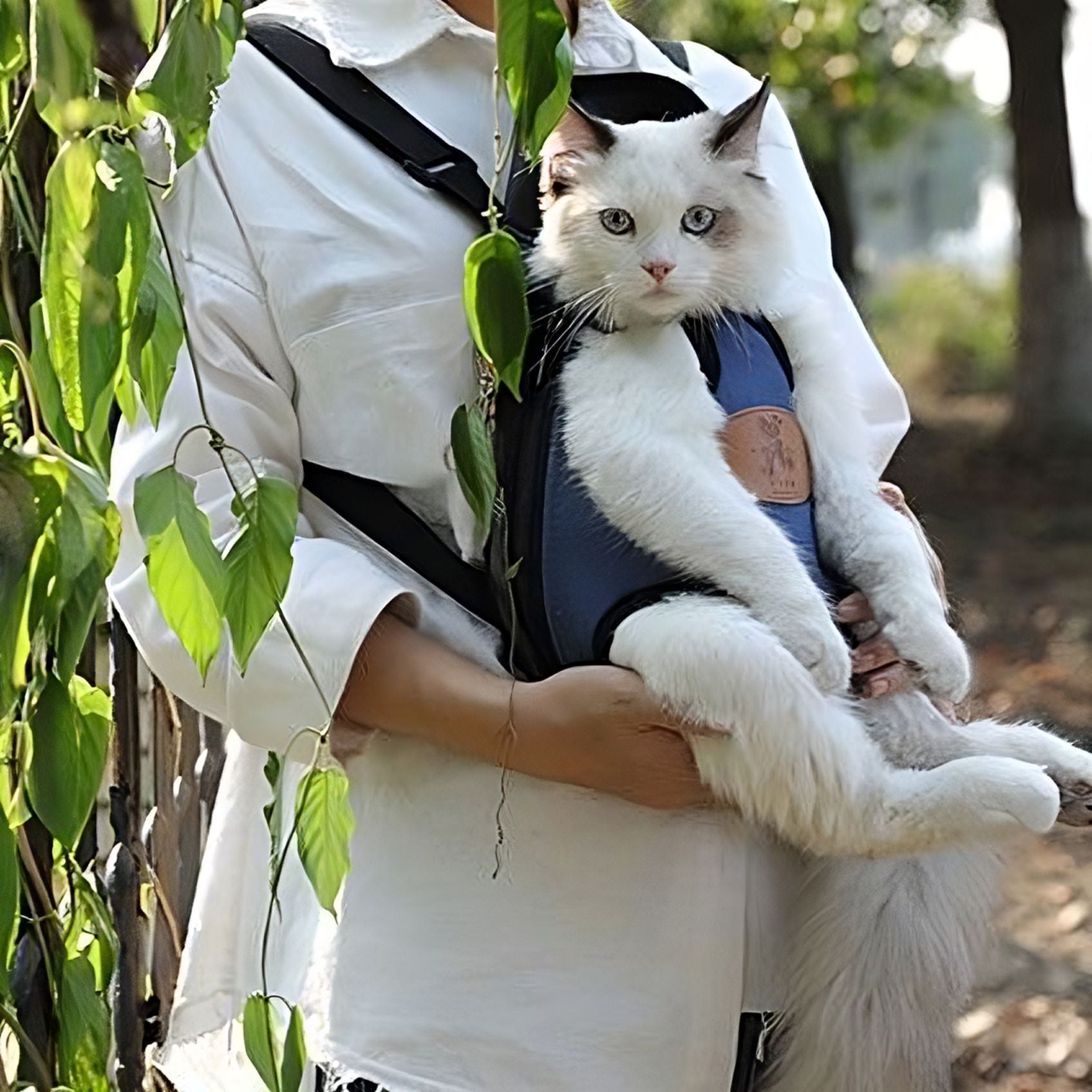 Cat Carrier Bag