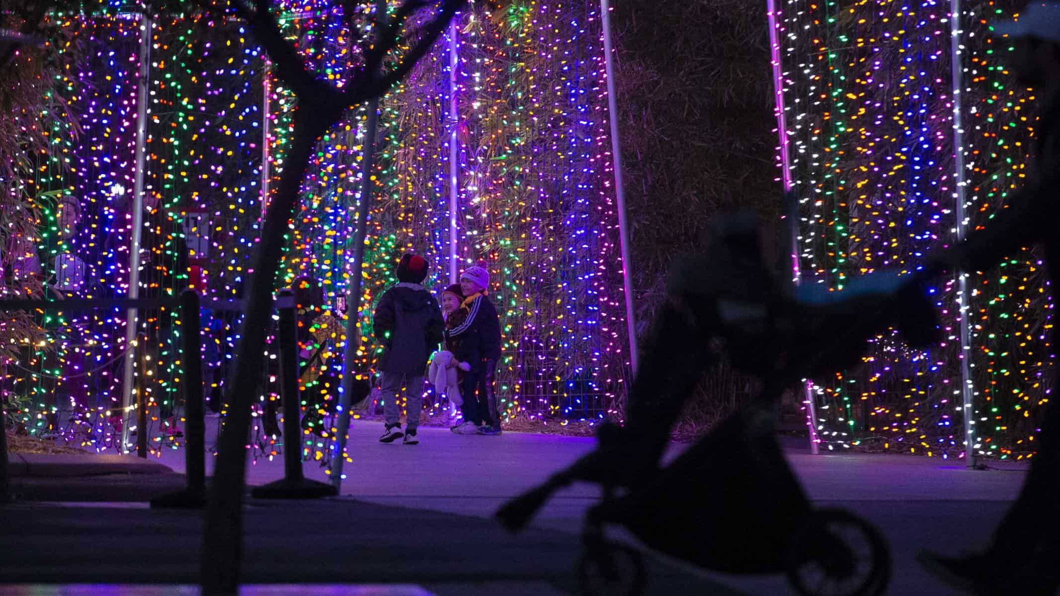 Christmas Lights Phoenix 2025 Jorey Jewell