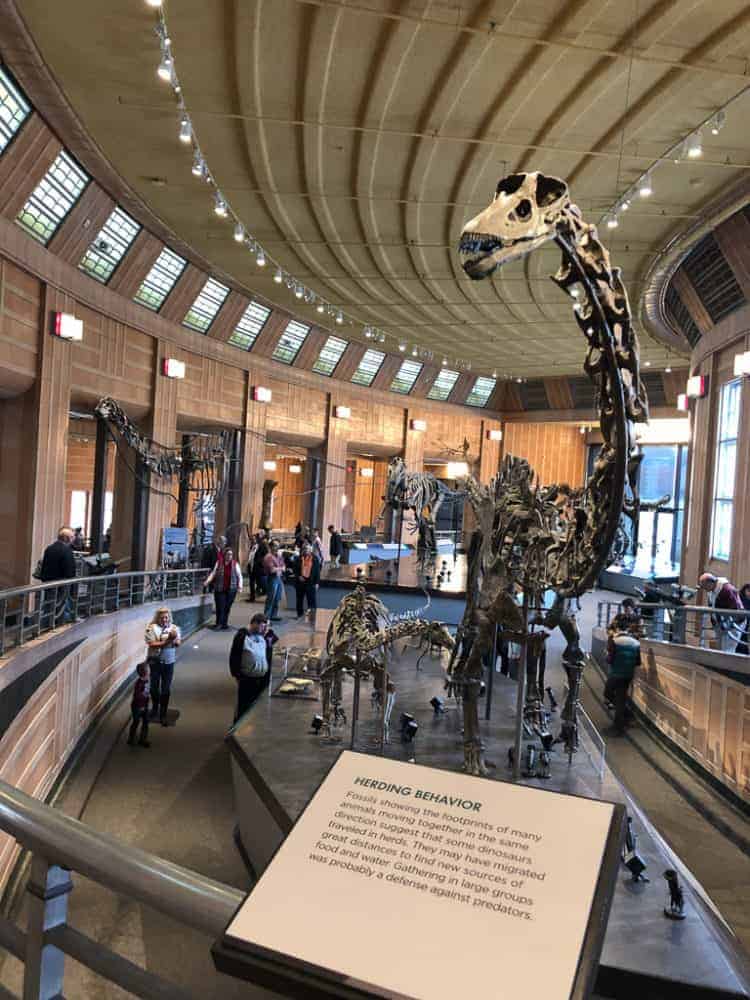 Cincinnati Museum Of Natural History And Science Cincinnati Ohio