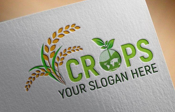 Clean Farm Agriculture Logo Template Graphicsfamily