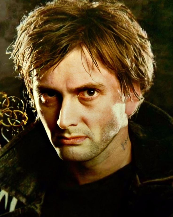 David Tennant Harry Potter