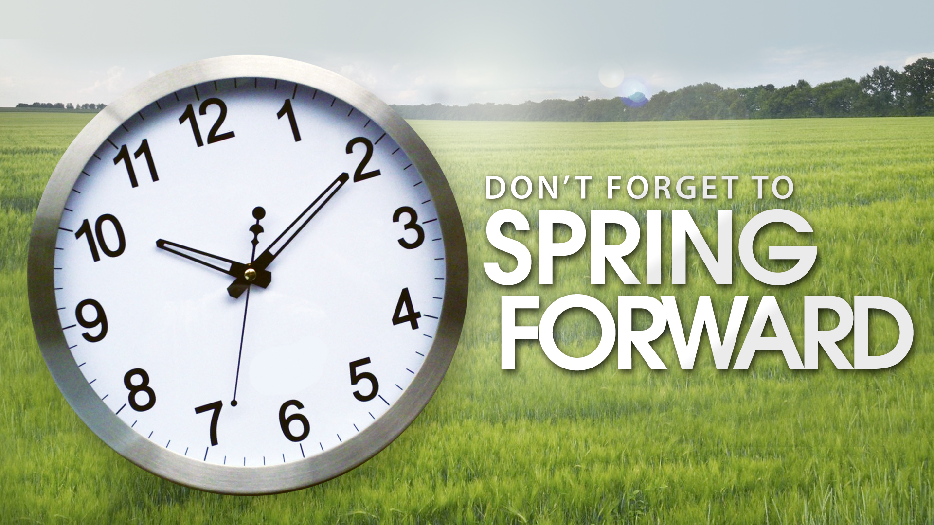 Daylight Savings Time Spring Forward 2025 Randy M Myers