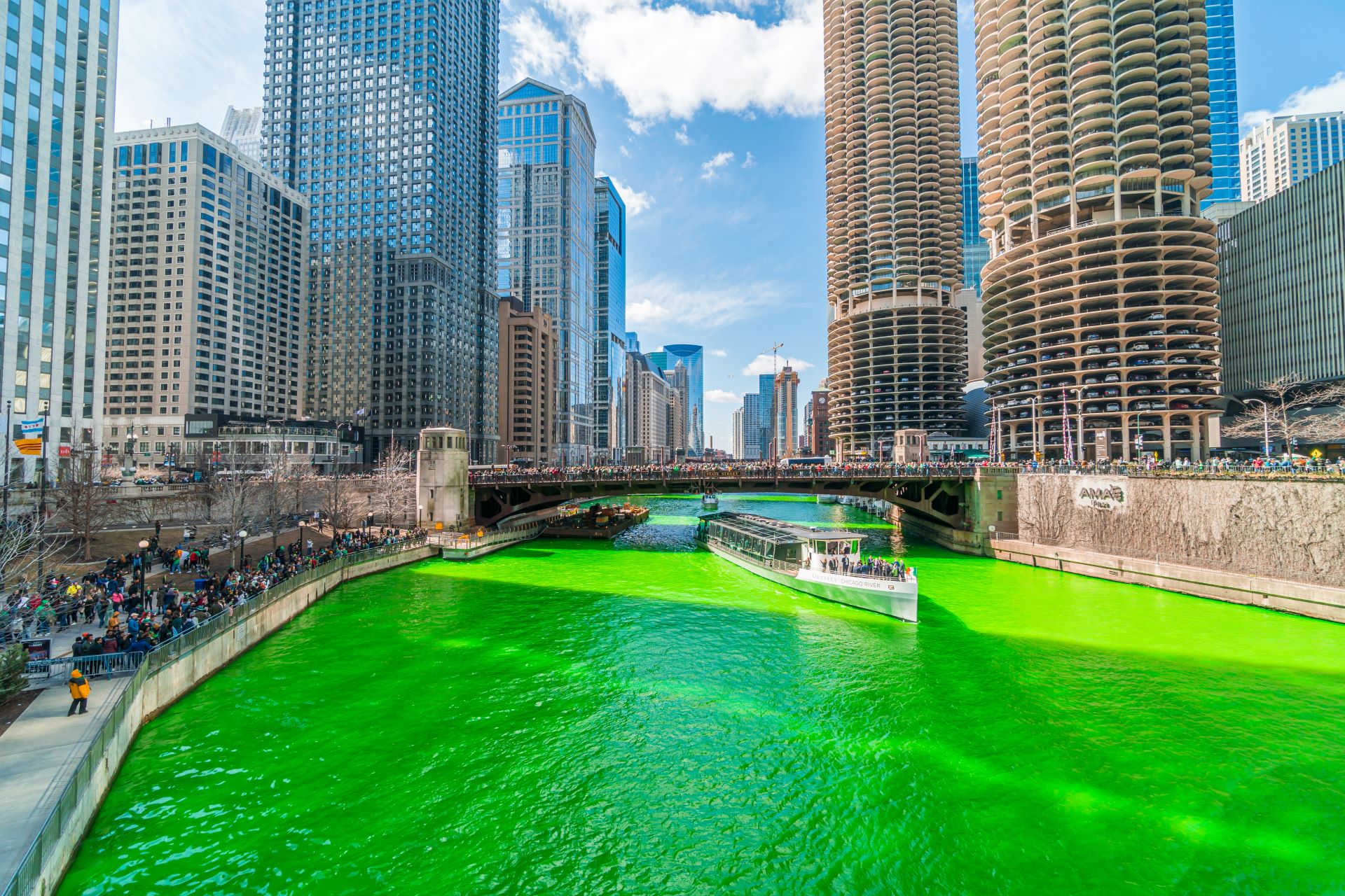 Dye The River Green Chicago 2025 Robby Christie