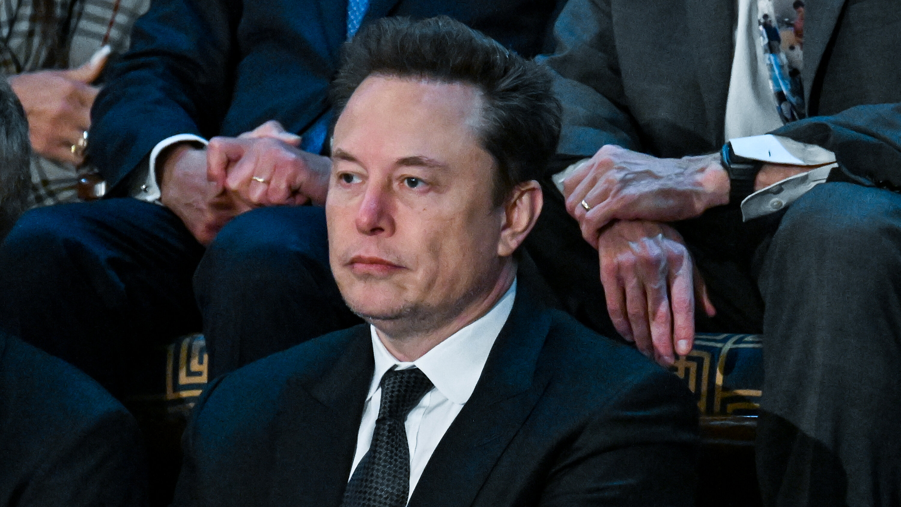 Elon Musk Transgender