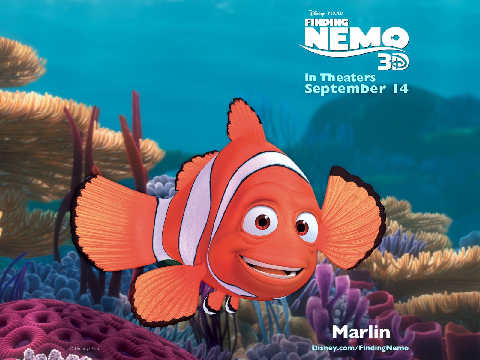 Finding Nemo Animation Underwater Sea Ocean Tropical Fish Adventure