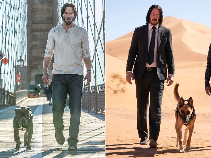 First Photos Of John Wick Chapter 3 Cause Fans To Fear The Hitman S