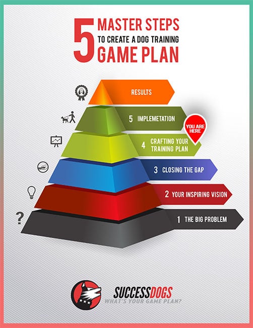 Five Master Steps To Create A Dog Training Game Plan