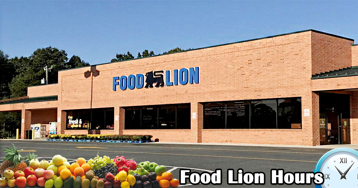 Food Lion Hours Sunday Shin Mcclellan