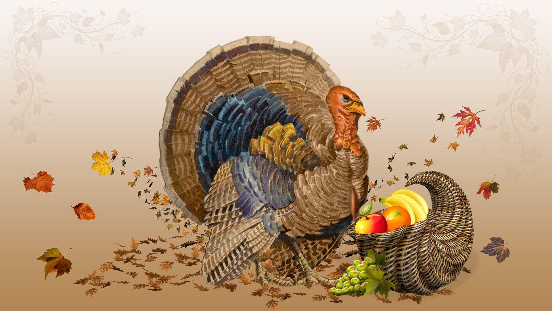 Free Funny Thanksgiving Wallpapers Wallpaper Cave