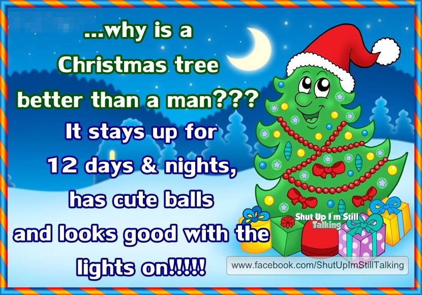 Funny Christmas Joke Pictures Photos And Images For Facebook Tumblr